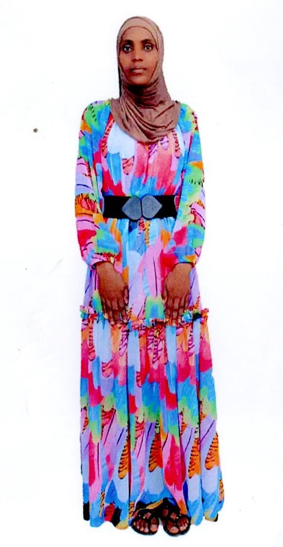 slide-2, House Maid , Ethiopia , House keeping , Babysitter , ironing