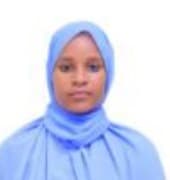 slide-1, House Maid , Ethiopia , House keeping , Babysitter , ironing