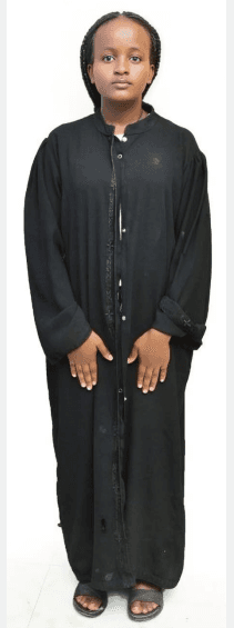 slide-2, House Maid , Ethiopia , House keeping , Babysitter , ironing