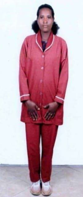 slide-2, House Maid , Ethiopia , House keeping , Babysitter , ironing