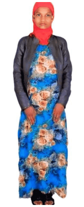 slide-2, House Maid , Ethiopia , House keeping , Babysitter , ironing