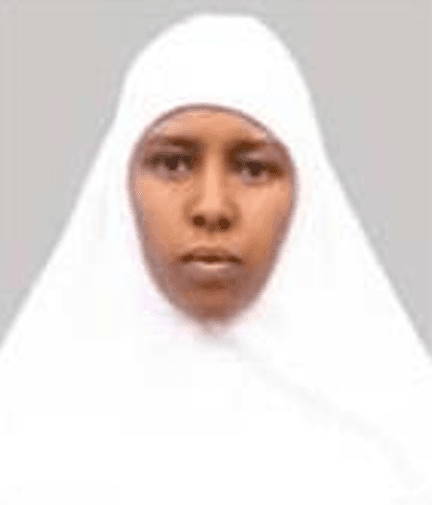 slide-1, House Maid , Ethiopia , House keeping , Babysitter , ironing