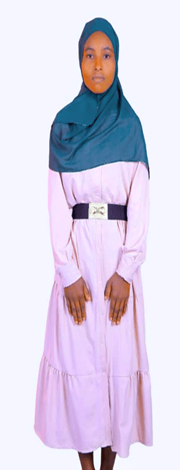 slide-2, House Maid , Ethiopia , House keeping , Babysitter , ironing