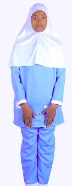 slide-2, House Maid , Ethiopia , House keeping , Babysitter , ironing