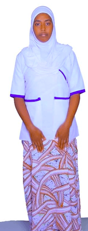 slide-2, House Maid , Ethiopia , House keeping , Babysitter , ironing