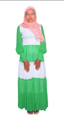 slide-2, House Maid , Ethiopia , House keeping , Babysitter , ironing