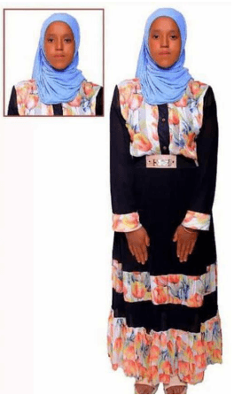 slide-2, House Maid , Ethiopia , House keeping , Babysitter , ironing