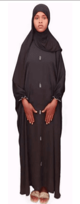 slide-2, House Maid , Ethiopia , House keeping , Babysitter , ironing