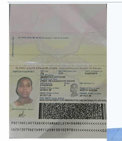 slide-2, عاملة منزلية , إثيوبيا , تنظيف المنزل , كى الملابس , عناية الرضيع