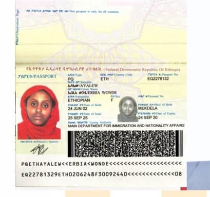 slide-2, House Maid , Ethiopia , House keeping , ironing , washing clothes