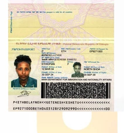 slide-2, House Maid , Ethiopia , House keeping , ironing , washing clothes