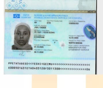 slide-2, House Maid , Ethiopia , House keeping , ironing , washing clothes