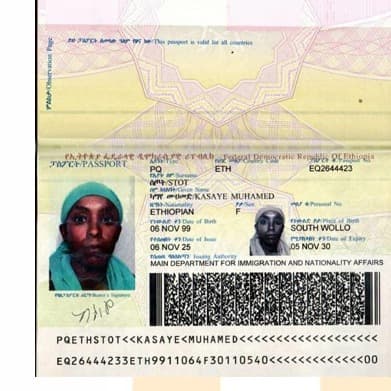 slide-2, House Maid , Ethiopia , House keeping , ironing , washing clothes