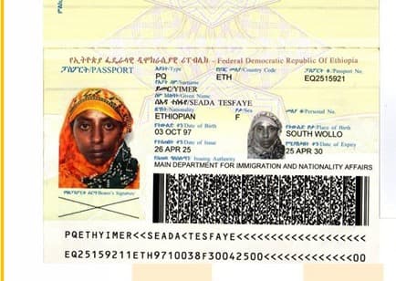 slide-2, House Maid , Ethiopia , House keeping , ironing , washing clothes