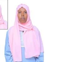 slide-1, House Maid , Ethiopia , House keeping , ironing , washing clothes