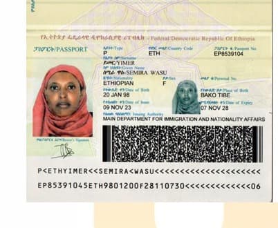 slide-2, House Maid , Ethiopia , House keeping , ironing , washing clothes