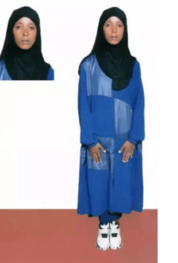 slide-2, House Maid , Ethiopia , House keeping , ironing , washing clothes